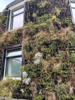 A Blueprint for Change – korkeakoulut Britannian muutosvoimana