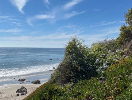 Kalifornian UC-yliopistot ilmastotutkimuksen kärjessä